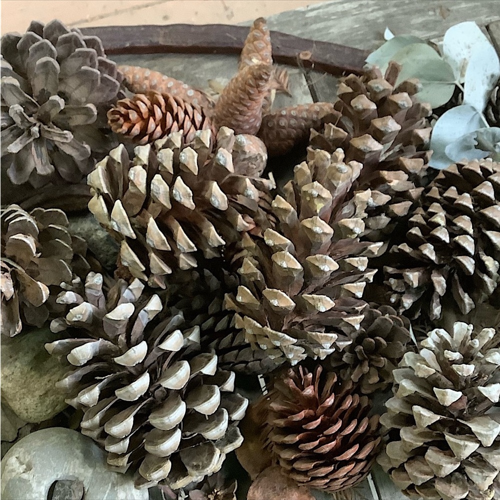 Harvest Apple Scented Pinecones From My Farm Organic Hand Crafted new. - Picture 4 of 13